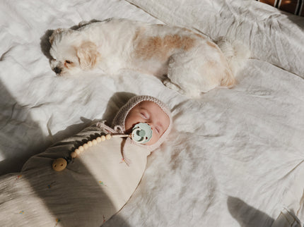 Mushie Silicone Pacifier Clip | Hera