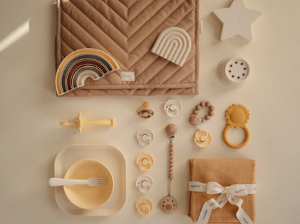 Mushie Silicone Pacifier Clip | Eva