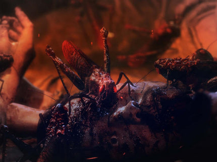 Wo Long: Fallen Dynasty - PlayStation 5