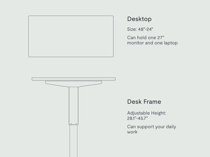 FlexiSpot EN1 Standing Desk