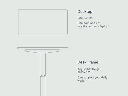 FlexiSpot EN1 Standing Desk