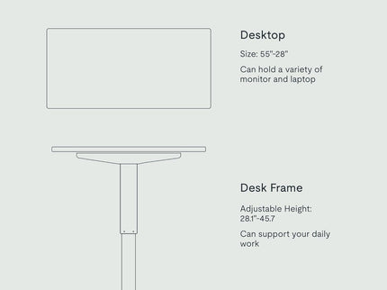 FlexiSpot EN1 Standing Desk – 55"x28" Electric Height Adjustable