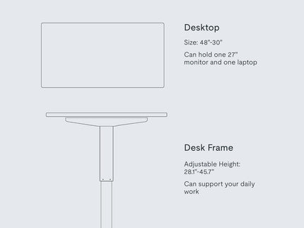 FlexiSpot EN1 Standing Desk