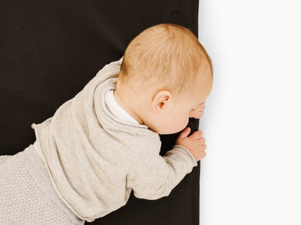 GPADMICPLURAV, Raven