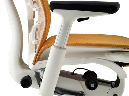 Herman Miller Embody Ergonomic Office Chair