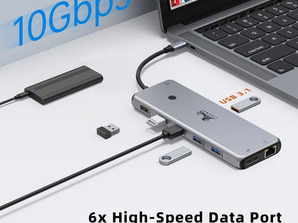 13 in 1 USB C Docking Station - Dual Monitor, Triple Display, 8 USB C/A Ports, Ethernet, Audio - LIONWEI USB C Hub for MacBook,Dell,HP,Lenovo,Surface