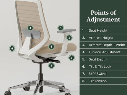 Branch Ergonomic Chair – Adjustable Lumbar