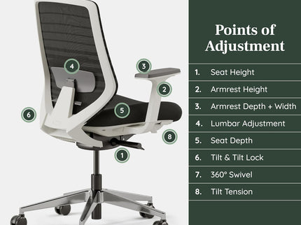 Branch Ergonomic Chair – Adjustable Lumbar