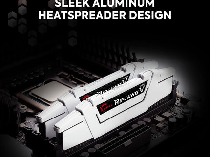 G.SKILL RipjawsV Series DDR4 RAM