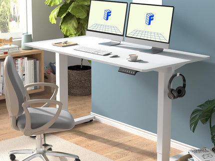 FLEXISPOT EN1 One-Piece Standing Desk
