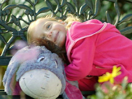 Disney Eeyore Pillow Pet