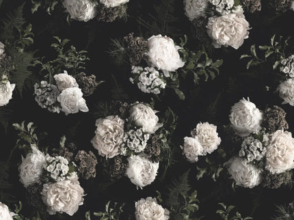 Evelyn Black & White