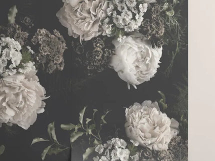 Evelyn Black & White