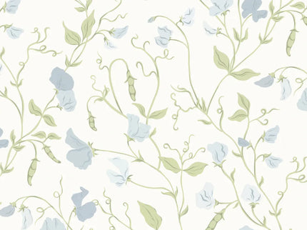 Sweet Pea Blue