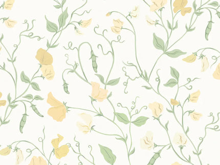 Sweet Pea Yellow