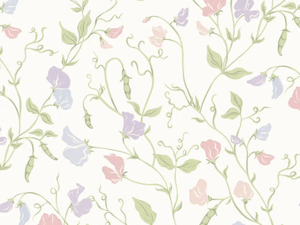 Sweet Pea Multi