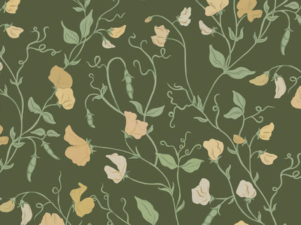 Sweet Pea Dark Yellow
