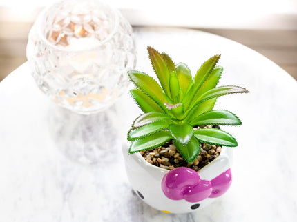 Hello Kitty Face 3-In Ceramic Mini Planter with Artificial Succulent
