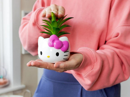 Hello Kitty Face 3-In Ceramic Mini Planter with Artificial Succulent