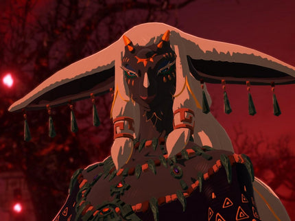 Hyrule Warriors: Age of Imprisonment - Nintendo Switch 2