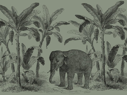 Loxodonta Green