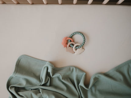 MTR-102, Dino Teething Ring