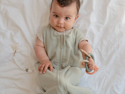 MTR-102, Dino Teething Ring