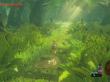 The Legend of Zelda: Breath of the Wild - Nintendo Switch 2 Edition