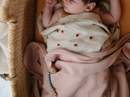 MPC-9006, Silicone Pacifier Clip | Eva