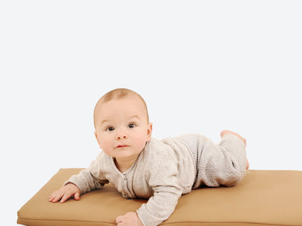 GPADMICPLUCAM, Camel