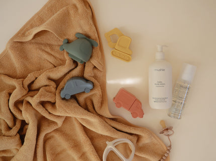 MFBS-1001, Vehicles Mold Free Bath Play Set