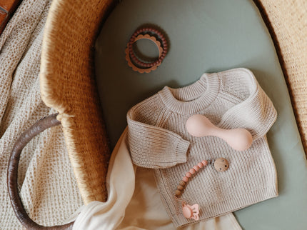 Mushie Silicone Pacifier Clip | Eva