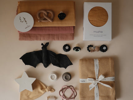 Mushie Silicone Pacifier Clip | Eva