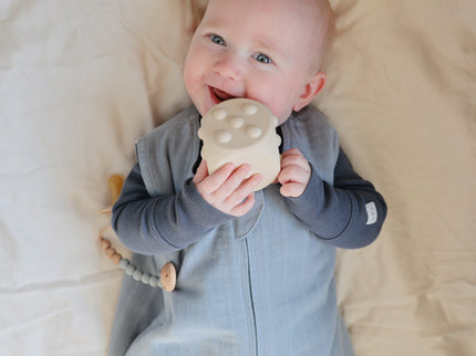 MPC-9006, Silicone Pacifier Clip | Eva