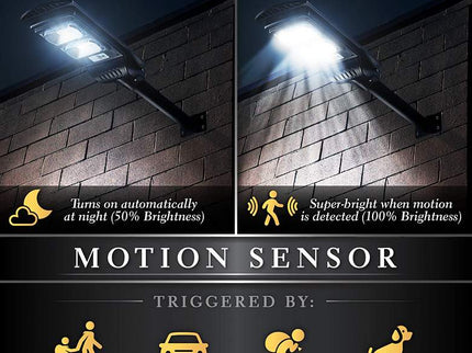 Lanz 19" Long Black Motion Sensor Solar Powered LED Street Light