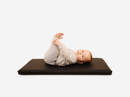 GPADMICPLURAV, Raven