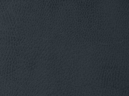 GPADMICPLURAV, Raven