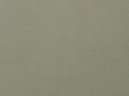 GPADMICPLUTHY, Thyme