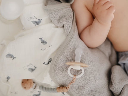 MPC-9016, Silicone Pacifier Clip | Eva