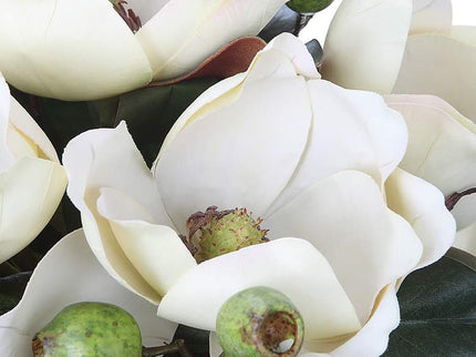 Uttermost Dobbins Magnolia 16" Wide Faux Flowers in Glass Vase