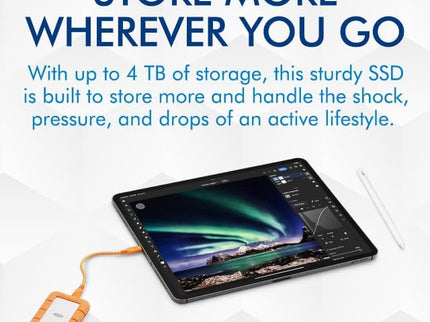 LaCie Rugged Mini SSD 1TB Solid State Drive