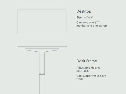 FlexiSpot EN1 Standing Desk