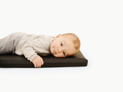 GPADMICPLURAV, Raven