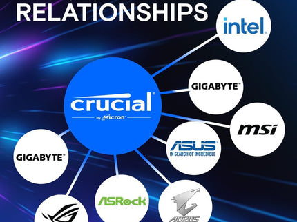 Crucial Pro 32GB DDR5 RAM Kit