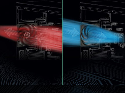 ARCTIC P12 PWM PST 120mm Case Fan 5-Pack