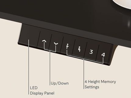 FlexiSpot EN1 Standing Desk – 55"x28" Electric Height Adjustable