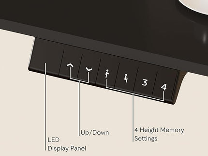 FlexiSpot EN1 Standing Desk