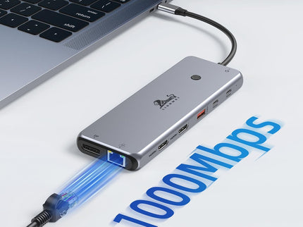 13 in 1 USB C Docking Station - Dual Monitor, Triple Display, 8 USB C/A Ports, Ethernet, Audio - LIONWEI USB C Hub for MacBook,Dell,HP,Lenovo,Surface