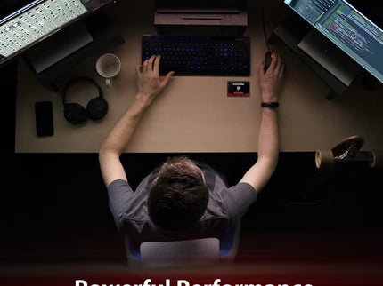 Gigastone SATA SSD 512GB (2-Pack) 2.5 inch SSD 550MB