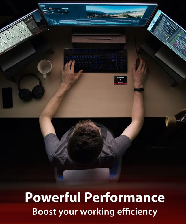 Gigastone SATA SSD 512GB (2-Pack) 2.5 inch SSD 550MB